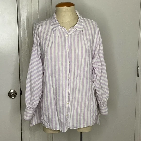 The Great Cotton Striped Button Down Shirt - Picture 1 of 9